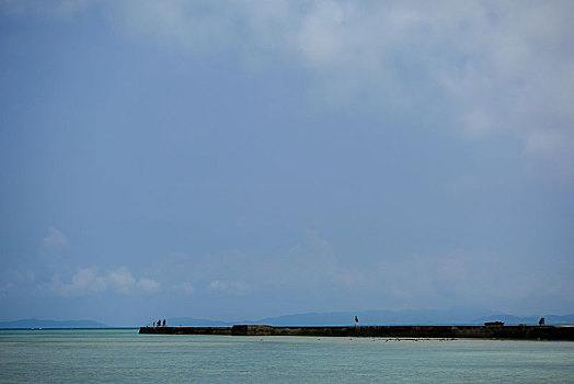 thuan vu 286