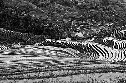 soi cau bach thu sieu chuan