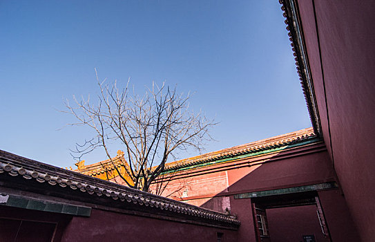 dự đoán lô tô hôm nay