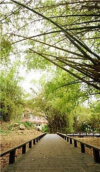 soi cau dau duoi mb
