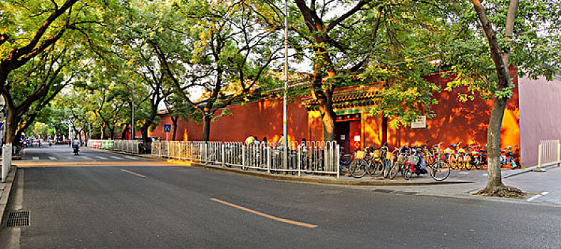 cau lo bach thu khung 5 ngay