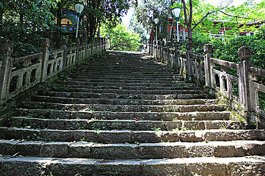 bạch thủ lô chuẩn
