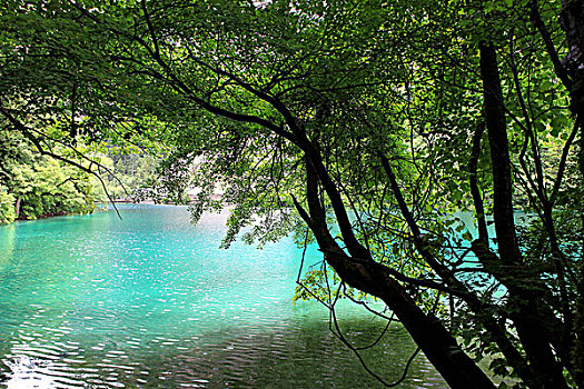 cách đánh đề chuẩn