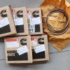 5405717 Bạc xéc măng Cummins ISX/QSX15
