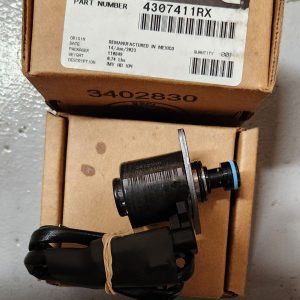 4307411RX