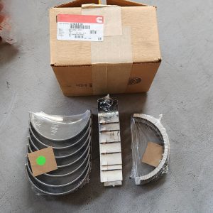 5406110_Miễn Cốt_ISX15