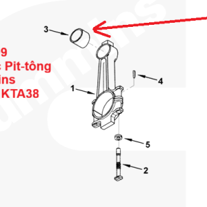 3043909 Bac Ac Pit tong 1