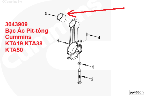3043909 Bac Ac Pit tong 1