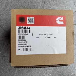 3968643 co nhun1 3 min
