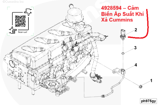 4928594 – Cam Bien Ap Suat Khi Xa Cummins 7