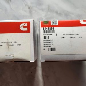 5448899 Thermostat 12