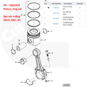 3802429 Bạc xéc măng Cummins