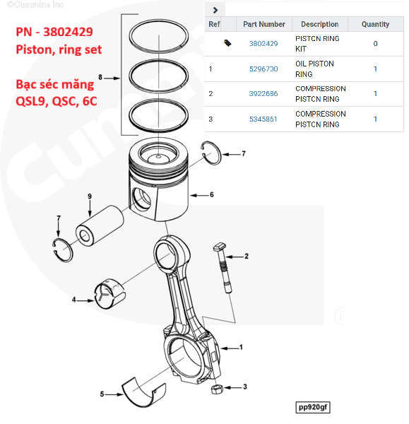 3802429 Bạc xéc măng Cummins
