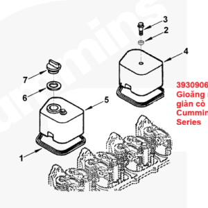 3930906 Gioăng nắp giàn cò