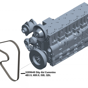 3289648 Dây đai Cummins