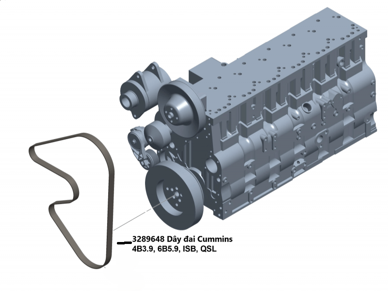 3289648 Dây đai Cummins 3289648 Dây đai Cummins