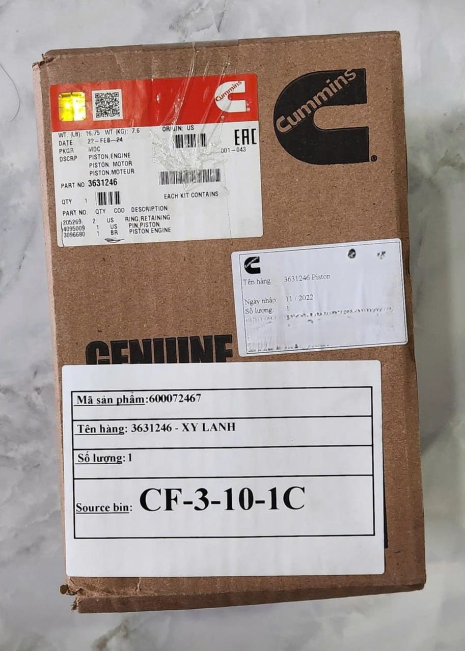 3631246 Bộ Pít-tông Cummins 3631246 Bộ Pít-tông Cummins