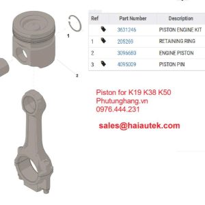 3631246 Bộ Pít-tông Cummins