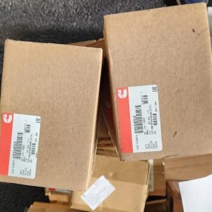 4955853 Bộ bạc lót trục khuỷu